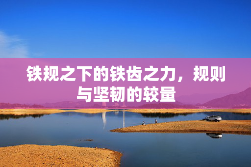 铁规之下的铁齿之力，规则与坚韧的较量