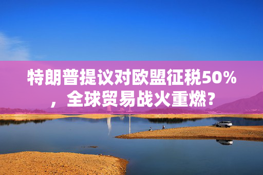 特朗普提议对欧盟征税50%，全球贸易战火重燃？