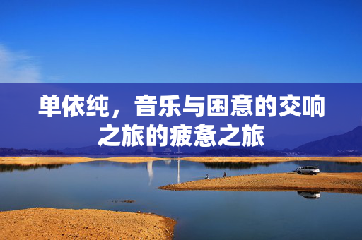 单依纯，音乐与困意的交响之旅的疲惫之旅