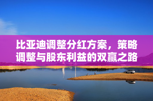比亚迪调整分红方案，策略调整与股东利益的双赢之路