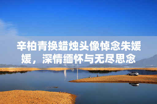 辛柏青换蜡烛头像悼念朱媛媛，深情缅怀与无尽思念