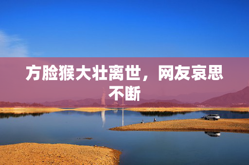 方脸猴大壮离世，网友哀思不断