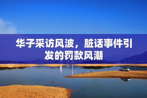华子采访风波，脏话事件引发的罚款风潮