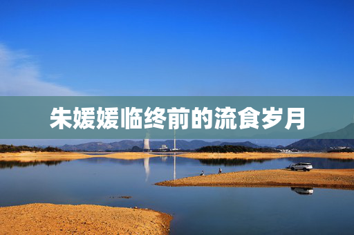 朱媛媛临终前的流食岁月