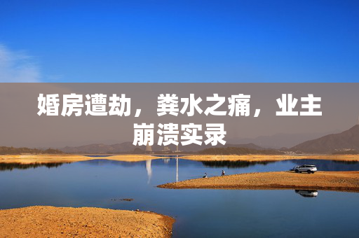 婚房遭劫，粪水之痛，业主崩溃实录