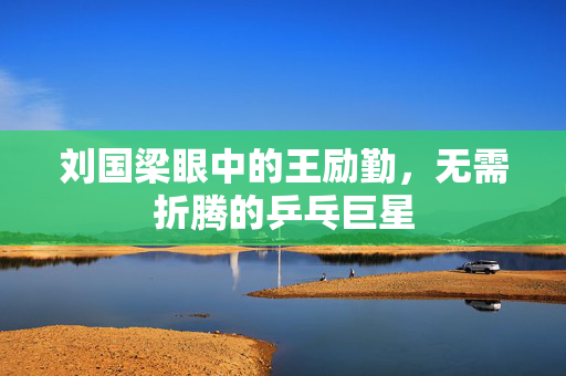 刘国梁眼中的王励勤，无需折腾的乒乓巨星
