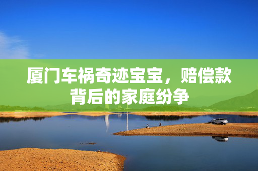 厦门车祸奇迹宝宝，赔偿款背后的家庭纷争
