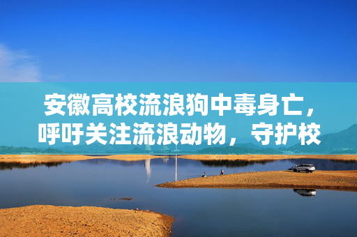 安徽高校流浪狗中毒身亡，呼吁关注流浪动物，守护校园安全