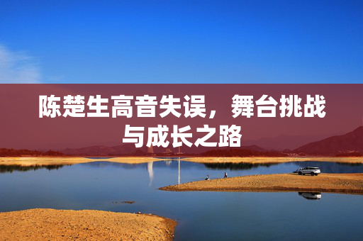 陈楚生高音失误，舞台挑战与成长之路
