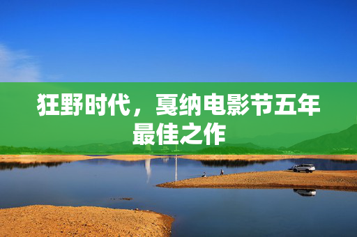 狂野时代，戛纳电影节五年最佳之作