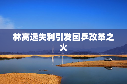林高远失利引发国乒改革之火