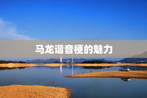 马龙谐音梗的魅力