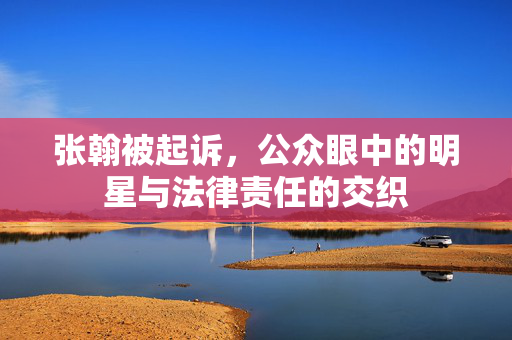 张翰被起诉，公众眼中的明星与法律责任的交织