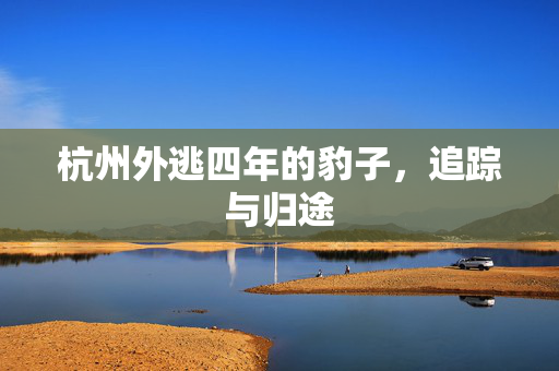 杭州外逃四年的豹子，追踪与归途
