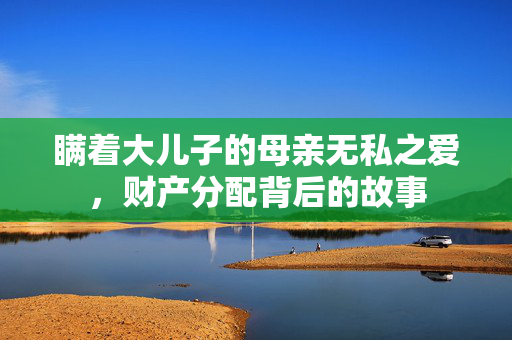 瞒着大儿子的母亲无私之爱，财产分配背后的故事