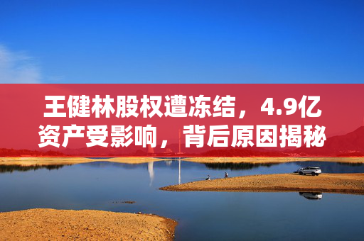 王健林股权遭冻结，4.9亿资产受影响，背后原因揭秘