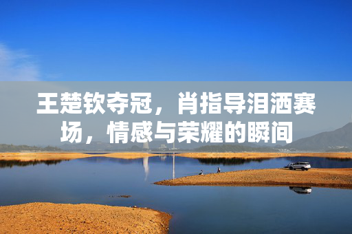 王楚钦夺冠，肖指导泪洒赛场，情感与荣耀的瞬间