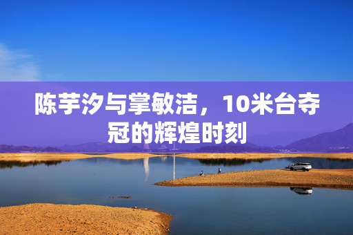 陈芋汐与掌敏洁，10米台夺冠的辉煌时刻