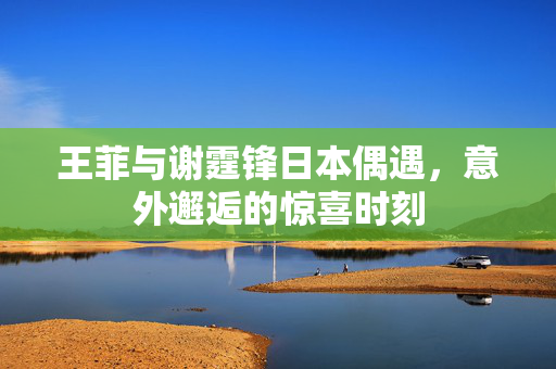 王菲与谢霆锋日本偶遇，意外邂逅的惊喜时刻