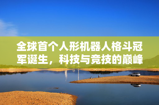 全球首个人形机器人格斗冠军诞生，科技与竞技的巅峰对决