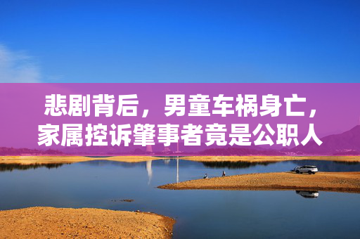 悲剧背后，男童车祸身亡，家属控诉肇事者竟是公职人员