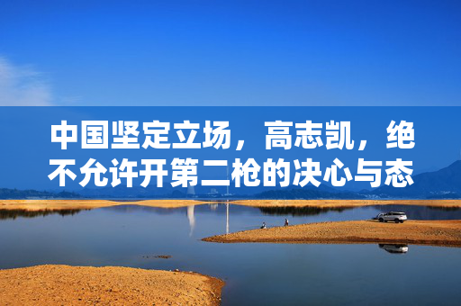 中国坚定立场，高志凯，绝不允许开第二枪的决心与态度