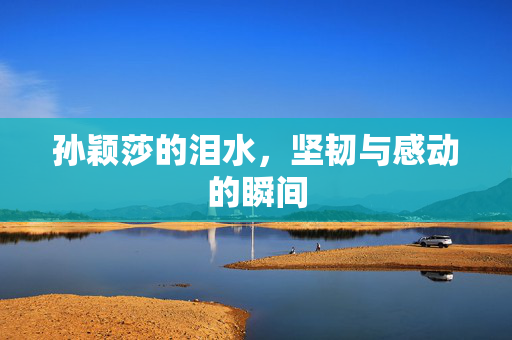 孙颖莎的泪水，坚韧与感动的瞬间