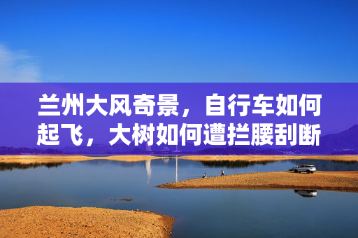 兰州大风奇景，自行车如何起飞，大树如何遭拦腰刮断