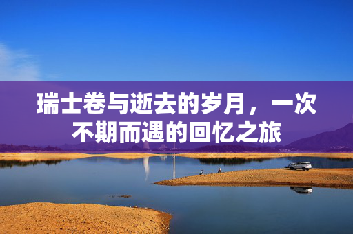 瑞士卷与逝去的岁月，一次不期而遇的回忆之旅