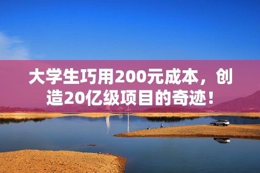 大学生巧用200元成本，创造20亿级项目的奇迹！