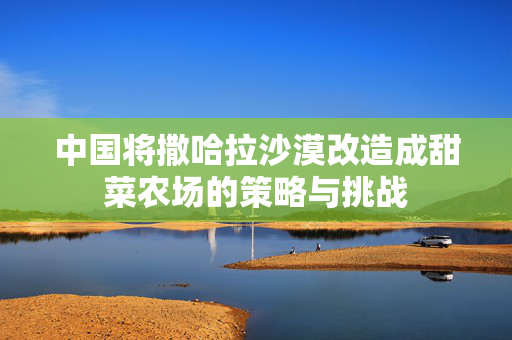 中国将撒哈拉沙漠改造成甜菜农场的策略与挑战