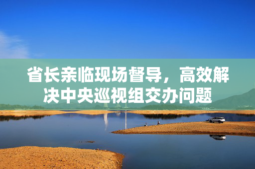 省长亲临现场督导，高效解决中央巡视组交办问题
