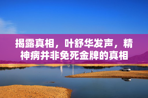 揭露真相，叶舒华发声，精神病并非免死金牌的真相