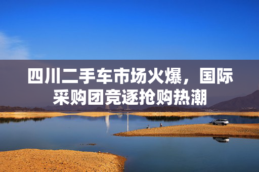 四川二手车市场火爆，国际采购团竞逐抢购热潮