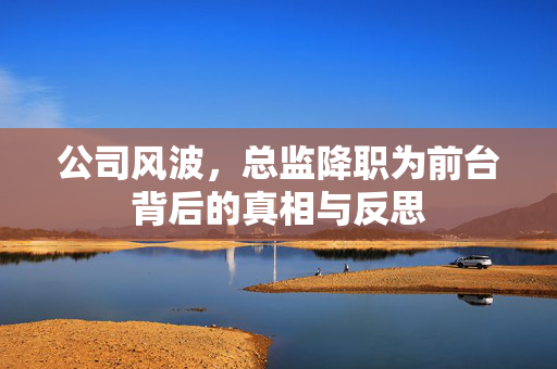 公司风波，总监降职为前台背后的真相与反思