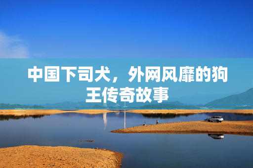 中国下司犬，外网风靡的狗王传奇故事