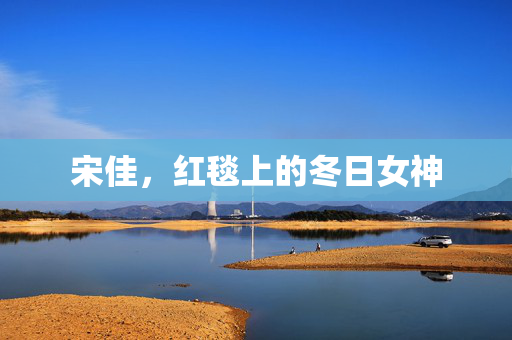 宋佳，红毯上的冬日女神