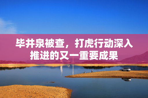毕井泉被查，打虎行动深入推进的又一重要成果