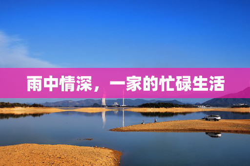 雨中情深，一家的忙碌生活