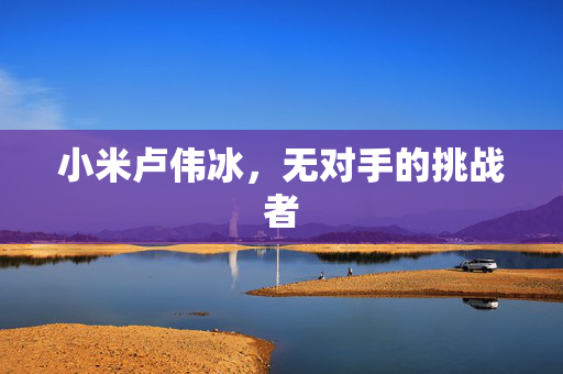 小米卢伟冰，无对手的挑战者