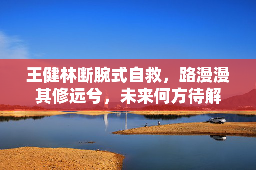 王健林断腕式自救，路漫漫其修远兮，未来何方待解