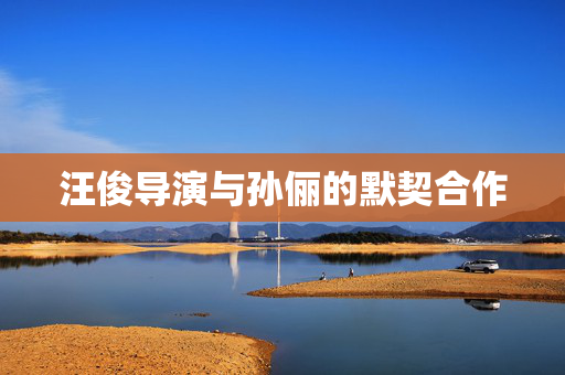 汪俊导演与孙俪的默契合作
