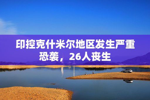 印控克什米尔地区发生严重恐袭，26人丧生