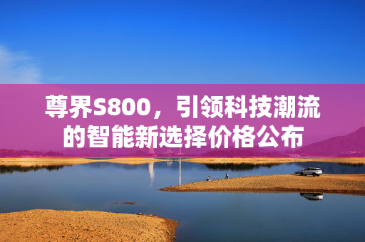 尊界S800，引领科技潮流的智能新选择价格公布