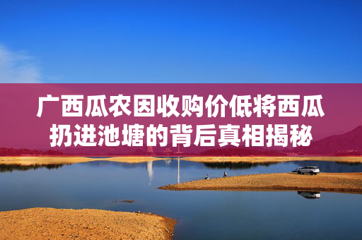 广西瓜农因收购价低将西瓜扔进池塘的背后真相揭秘