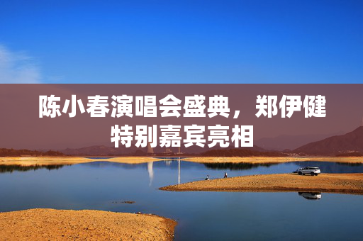 陈小春演唱会盛典，郑伊健特别嘉宾亮相