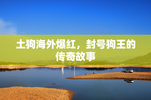 土狗海外爆红，封号狗王的传奇故事