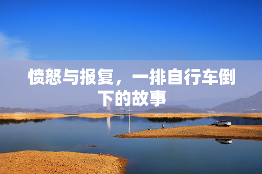愤怒与报复，一排自行车倒下的故事