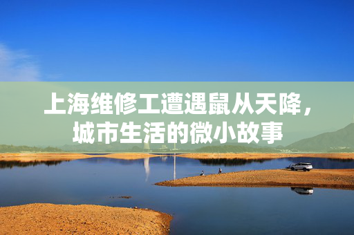 上海维修工遭遇鼠从天降，城市生活的微小故事