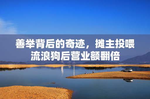 善举背后的奇迹，摊主投喂流浪狗后营业额翻倍